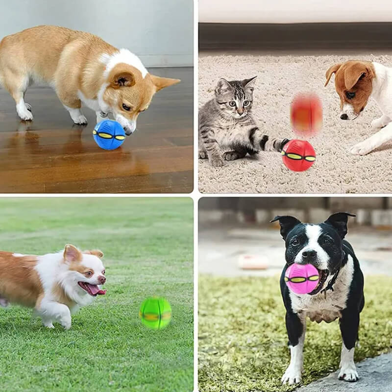 AeroPet - Magic Pet Toy Flying Saucer Ball