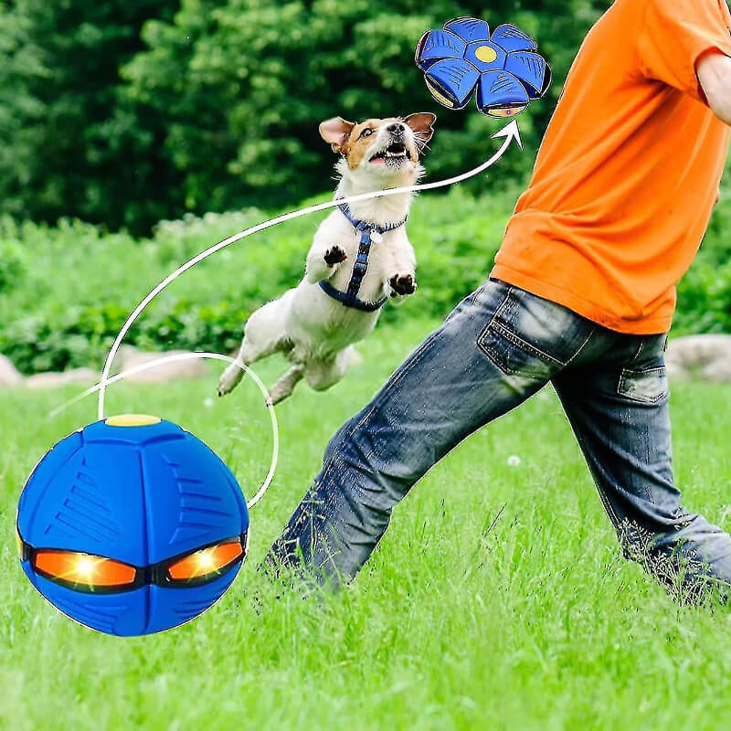 AeroPet - Magic Pet Toy Flying Saucer Ball