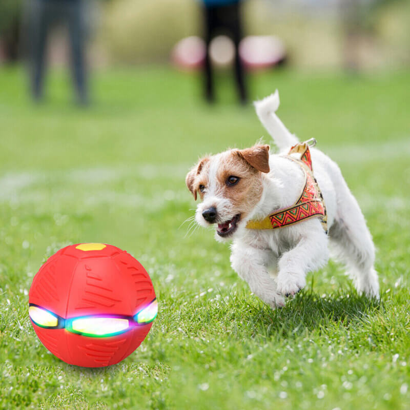 AeroPet - Magic Pet Toy Flying Saucer Ball