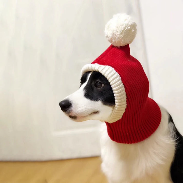 PoochPuff - Stylish Pet Woollen Hat