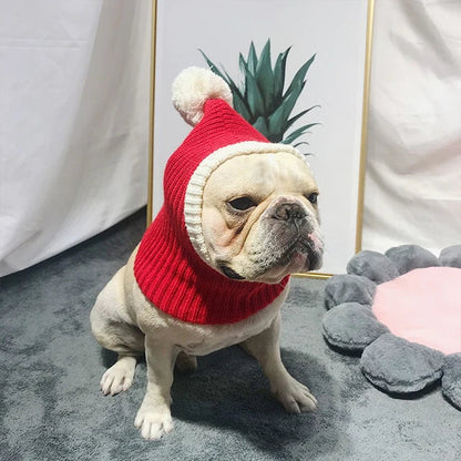 PoochPuff - Stylish Pet Woollen Hat